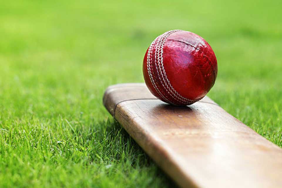 Cricket